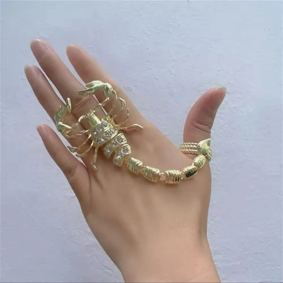 Scorpio Momento Mori Silver Plated Retro Ring - Picture 11 of 14